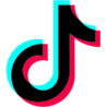 Seguici su Tiktok